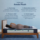 Serta iComfort Aveda Plush
