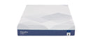 ChiroPro Plush