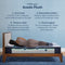 Serta iComfort Aveda Plush