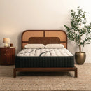 Brooklyn Bedding Bungalow Firm