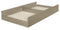 Homelegance Furniture Youth Loudon Twin Platform with Trundle Bed in Champagne Metallic