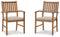 Janiyah Outdoor Dining Arm Chair (Set of 2)