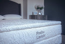 Posh + Lavish Release True Pillow Top (Latex)